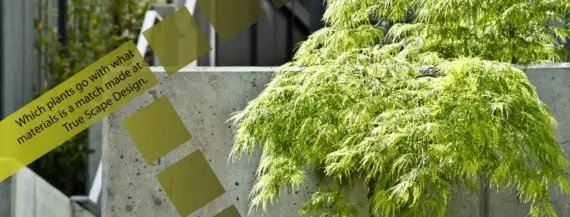 True Scape Design | Offering a wide range of services